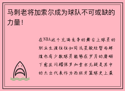 马刺老将加索尔成为球队不可或缺的力量！