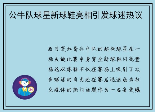 公牛队球星新球鞋亮相引发球迷热议