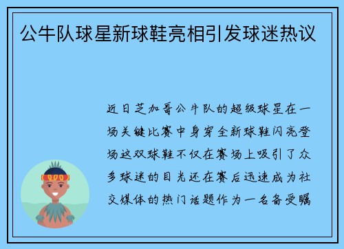 公牛队球星新球鞋亮相引发球迷热议