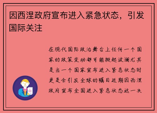 因西涅政府宣布进入紧急状态，引发国际关注