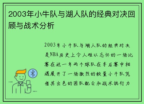 2003年小牛队与湖人队的经典对决回顾与战术分析
